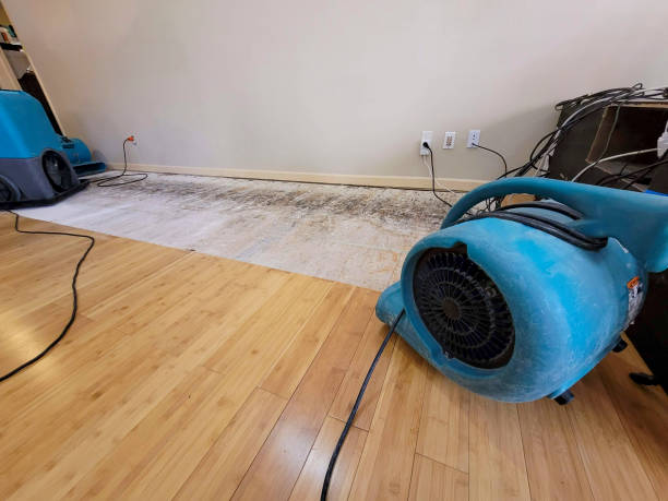 Professional Structural Drying technician working in Meredith, NH